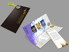 浙江銀聯(lián)白金卡宣傳折頁