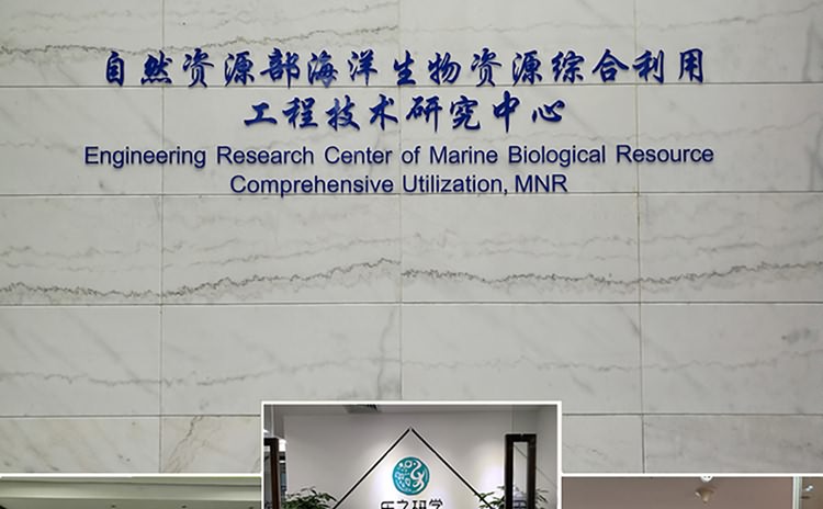 廈門形象墻制作公司-形象墻設計,形象墻制作,形象墻安裝為一體.辦公室logo墻制作,公司形象墻制作,企業(yè)背景墻制作