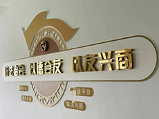 鈦金字文化墻_鈦金字標(biāo)語(yǔ)